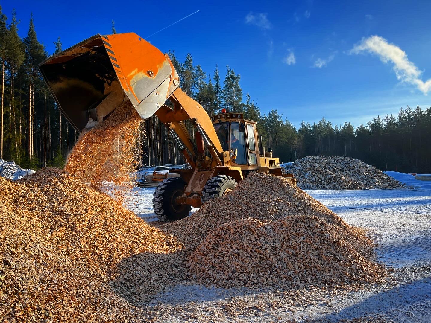 Цех деревообработки Богушевского лесхоза готов к участию...