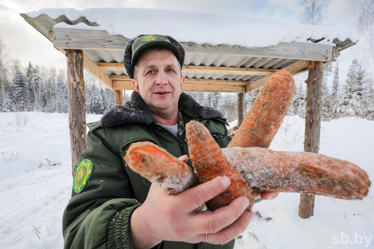 Кому и зачем накрывают шведский стол на лесной опушке?