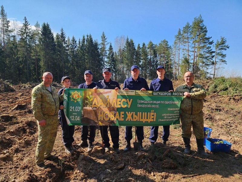 Будущее начинается с посаженного дерева