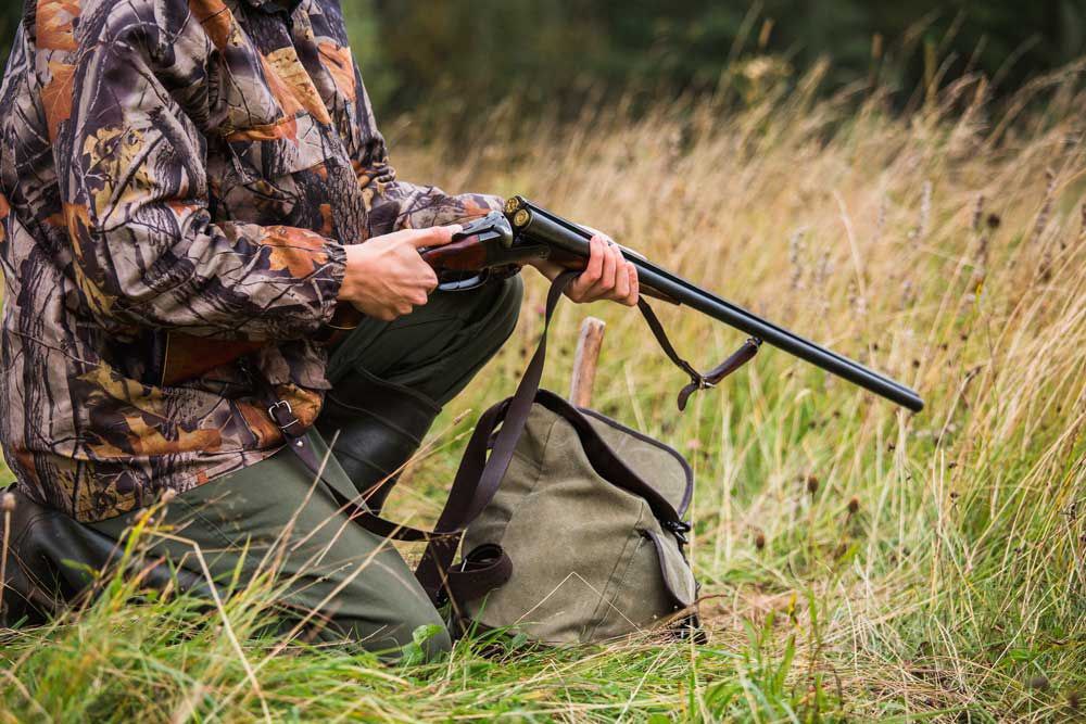 C 9 августа 2025 года открывается летне-осенний сезон охоты