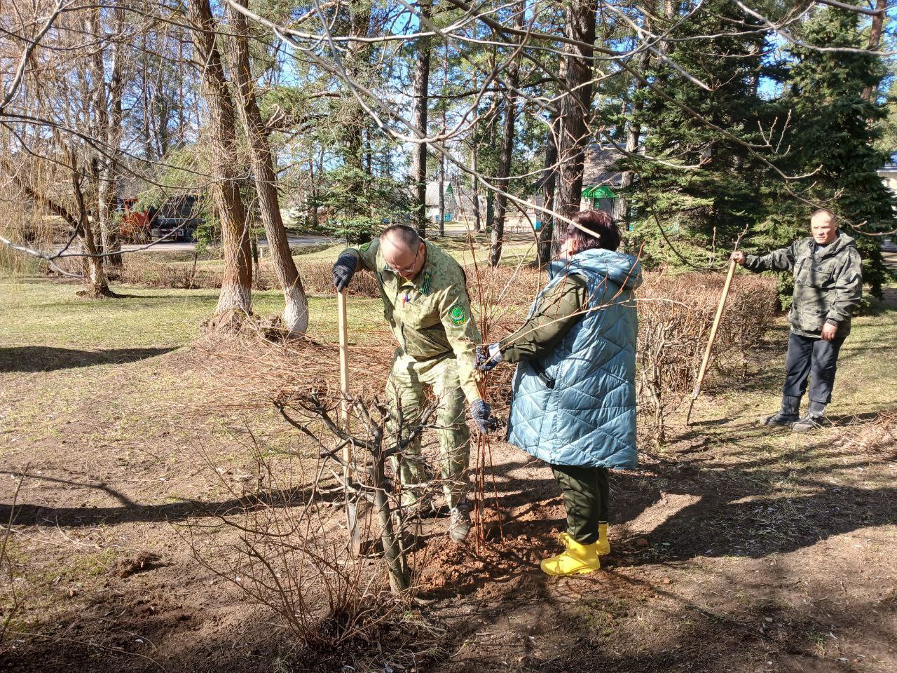 Важные и нужные дела для своей страны