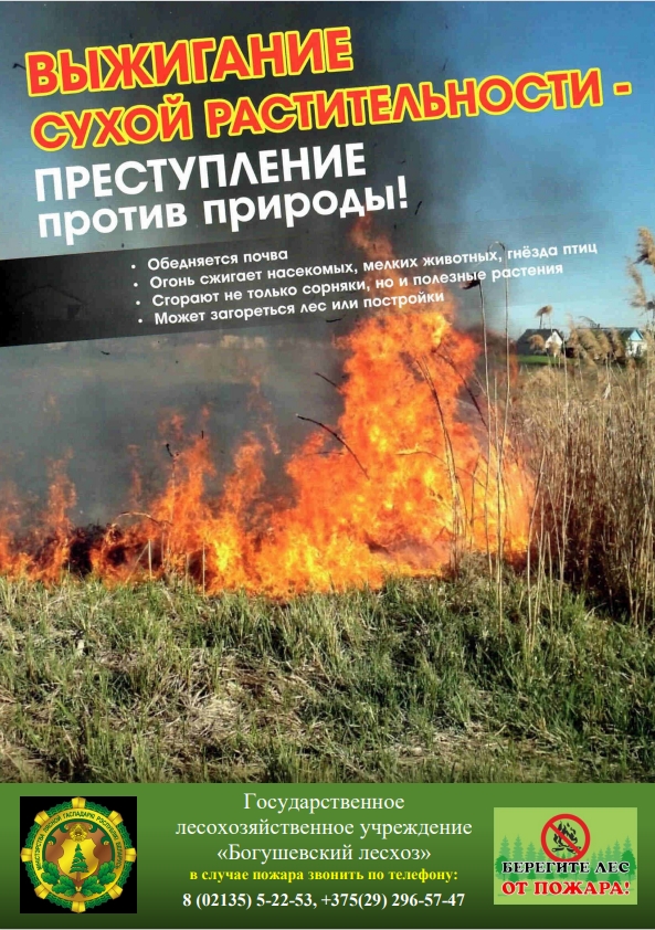 Пожароопасный период 2026