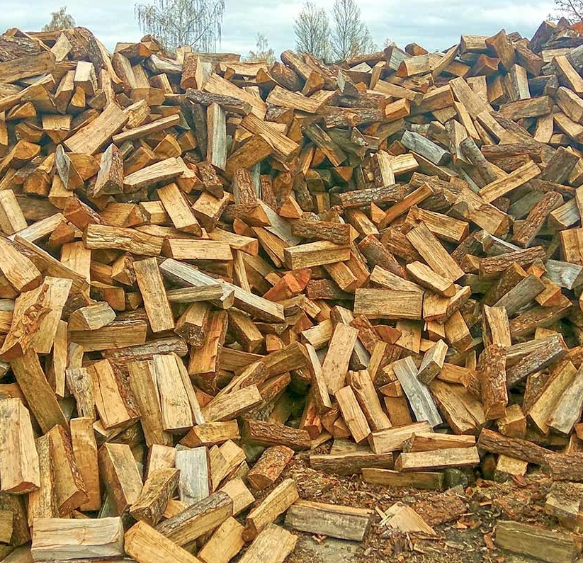 ВПЕРВЫЕ В БЕЛАРУСИ ОРГАНИЗУЕТСЯ ЧЕМПИОНАТ ПО КОЛКЕ ДРОВ СРЕДИ БЕЛОРУССКИХ ЖУРНАЛИСТОВ И БЛОГЕРОВ