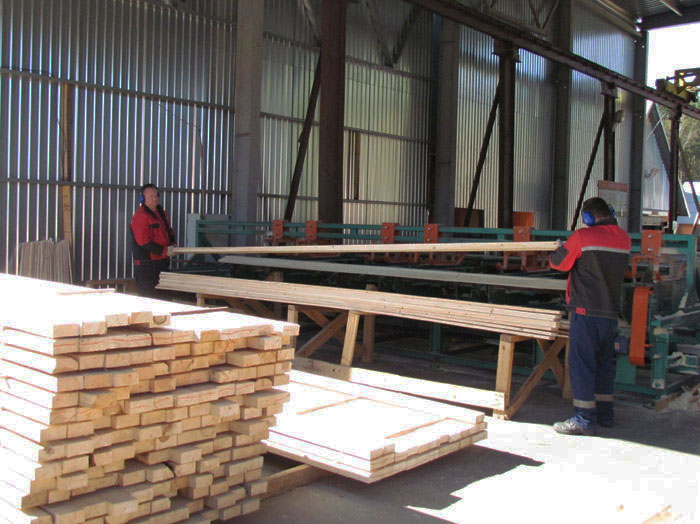 МИНИСТР ЛЕСНОГО ХОЗЯЙСТВА: ПАДЕНИЕ ЦЕН НА ДРЕВЕСИНУ НЕ ПРОГНОЗИРУЕТСЯ