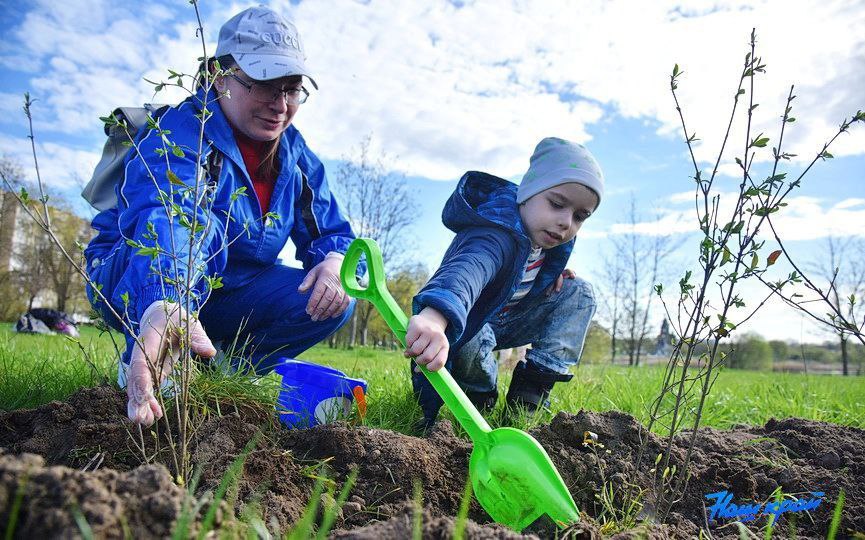 Общереспубликанский субботник пройдет в Беларуси 20 апреля