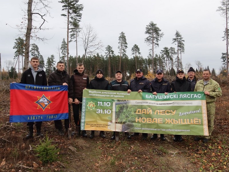 Вклад в улучшение экологической обстановки