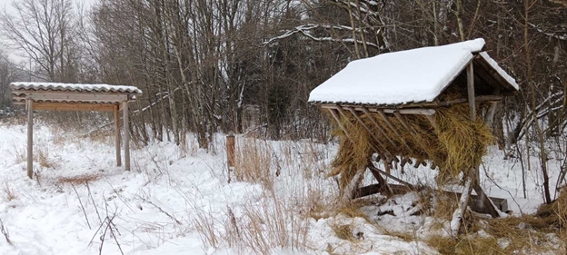 Помочь пережить трудные времена