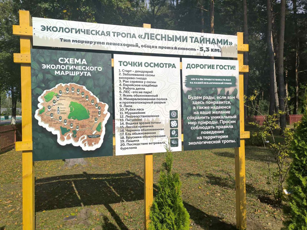 Сентябрь в Беларуси объявлен месяцем экологического туризма