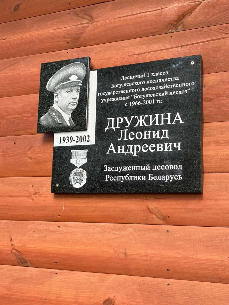 Когда в лес бесконечно влюблен, ты растворяешься в нем...