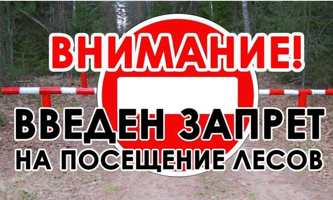 В Витебском районе объявлен IV класс пожарной опасности!