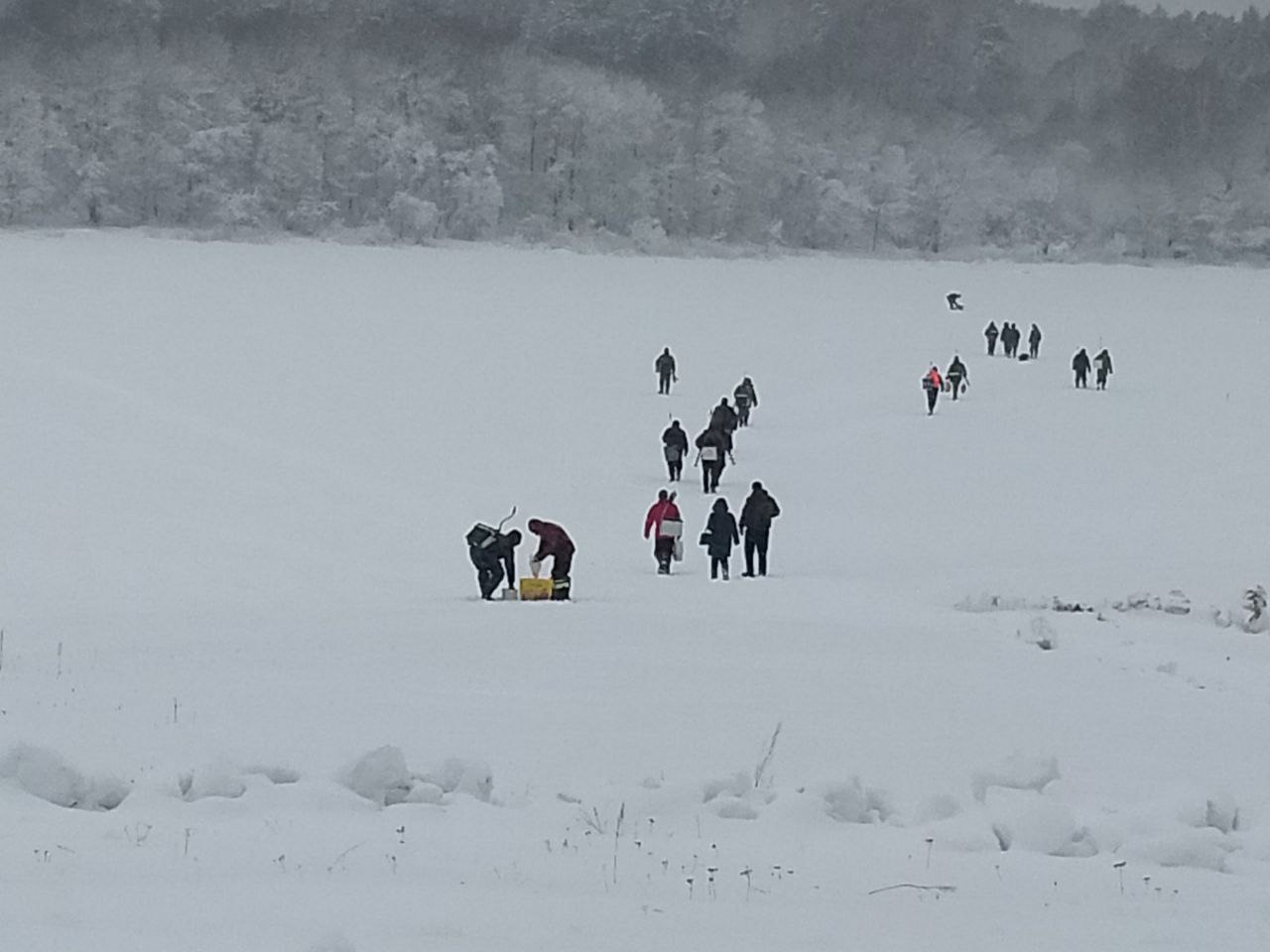 Соревнования по подледному лову рыбы
