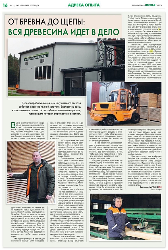 От бревна до щепы