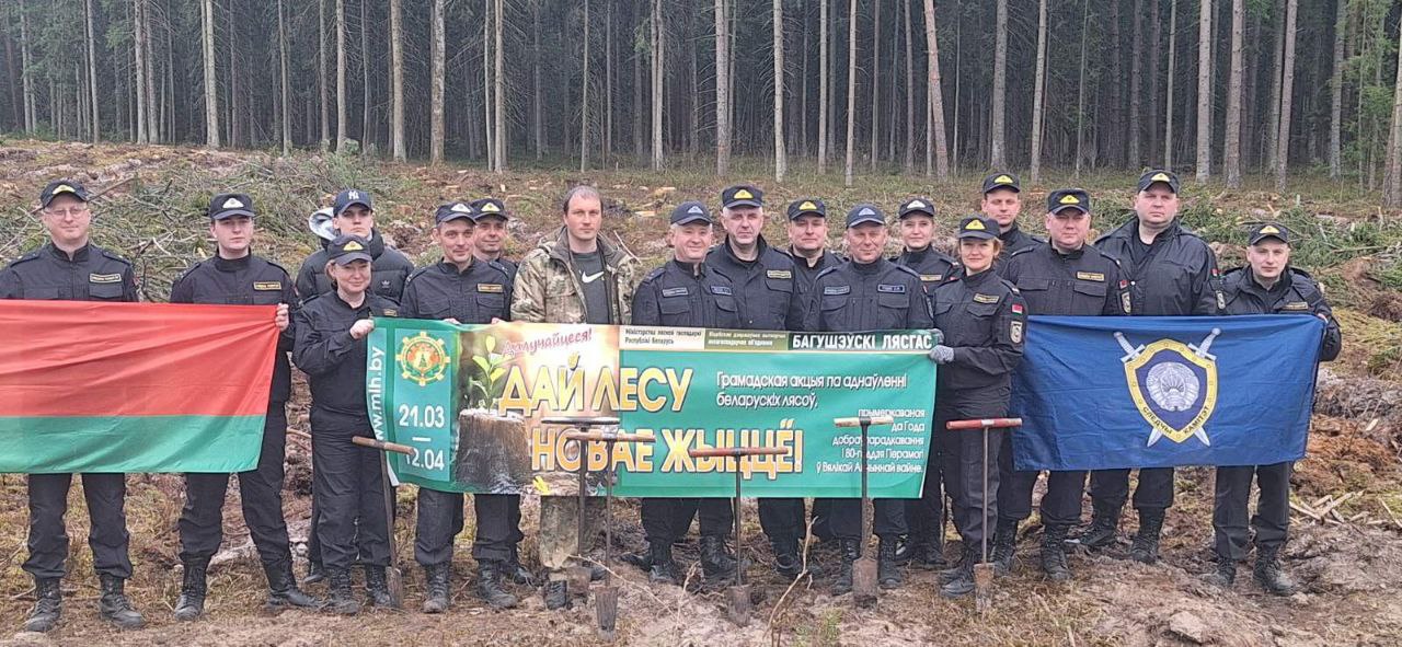 Следственный комитет Витебской области принял участие в акции