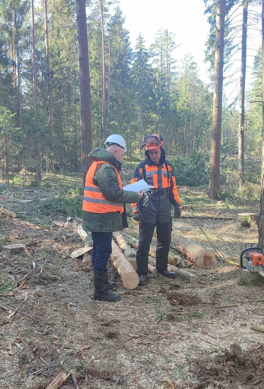 Неделя охраны труда в Богушевском лесхозе – всё внимание безопасности