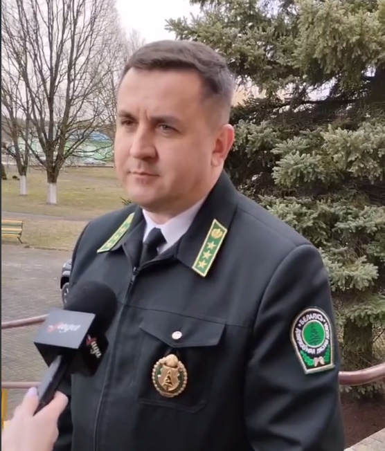 НА МЕСТЕ УСЫХАЮЩИХ ЕЛЬНИКОВ — НОВЫЕ ЛЕСА