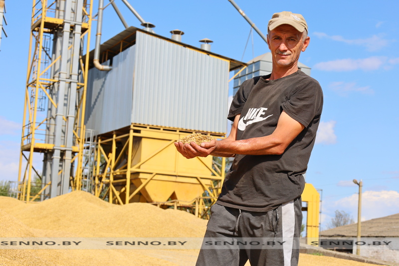 Водитель Коковчинского лесничества Виталий Новиков не понаслышке знает об уборочной кампании