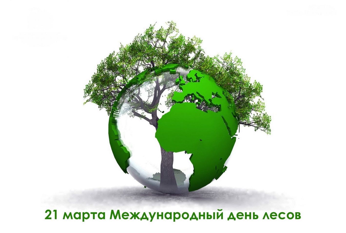 21 марта – Международный день лесов