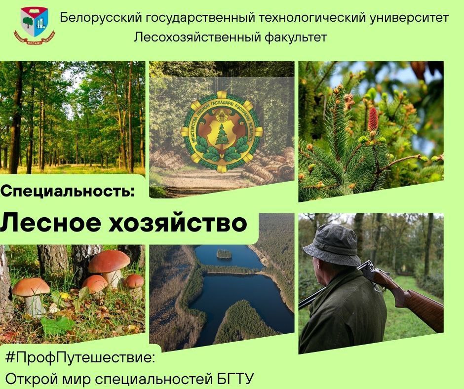 Мир специальностей 