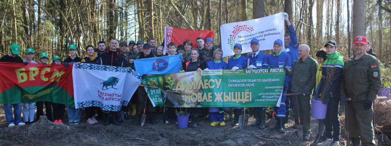Акция «Дай лесу новае жыццё!» набирает обороты