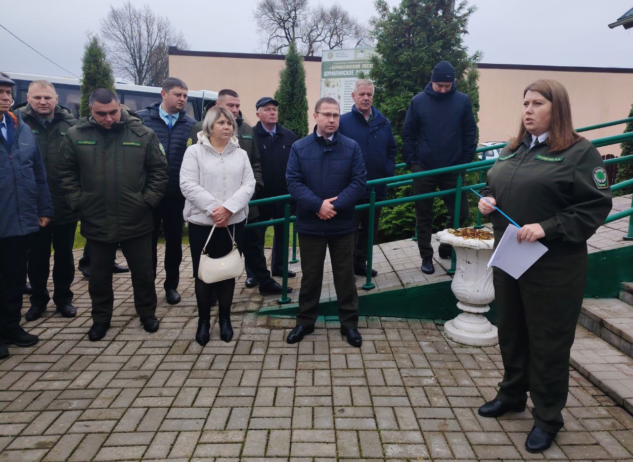 На базе Шумилинского лесхоза