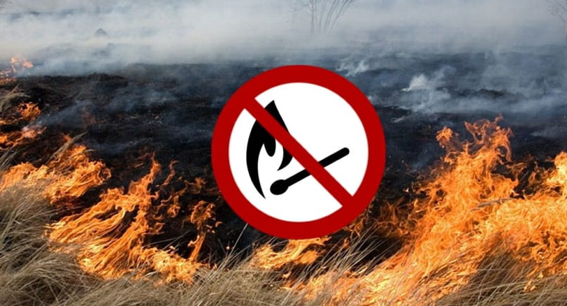 Об ограничении посещения лесов и торфяников!