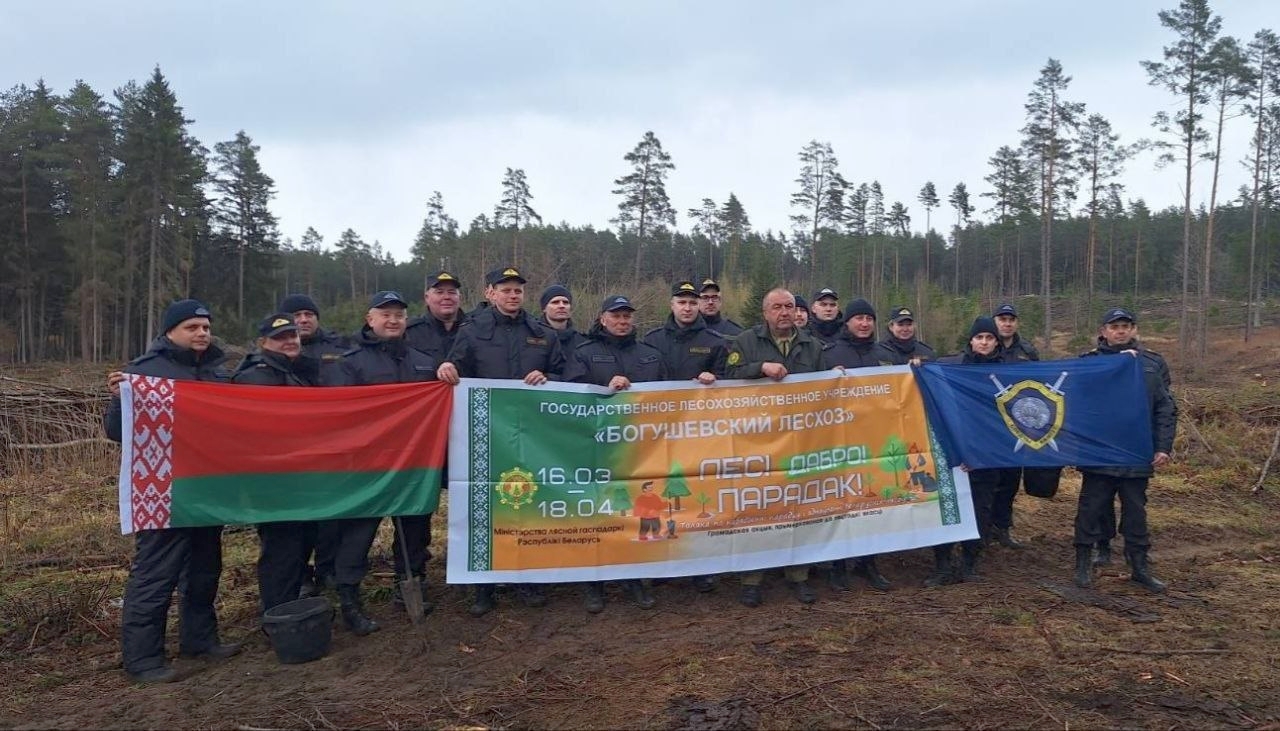 Сотрудники Следственного комитета по Витебской области приняли  участие в акции «Лес! Добро! Порядок!»