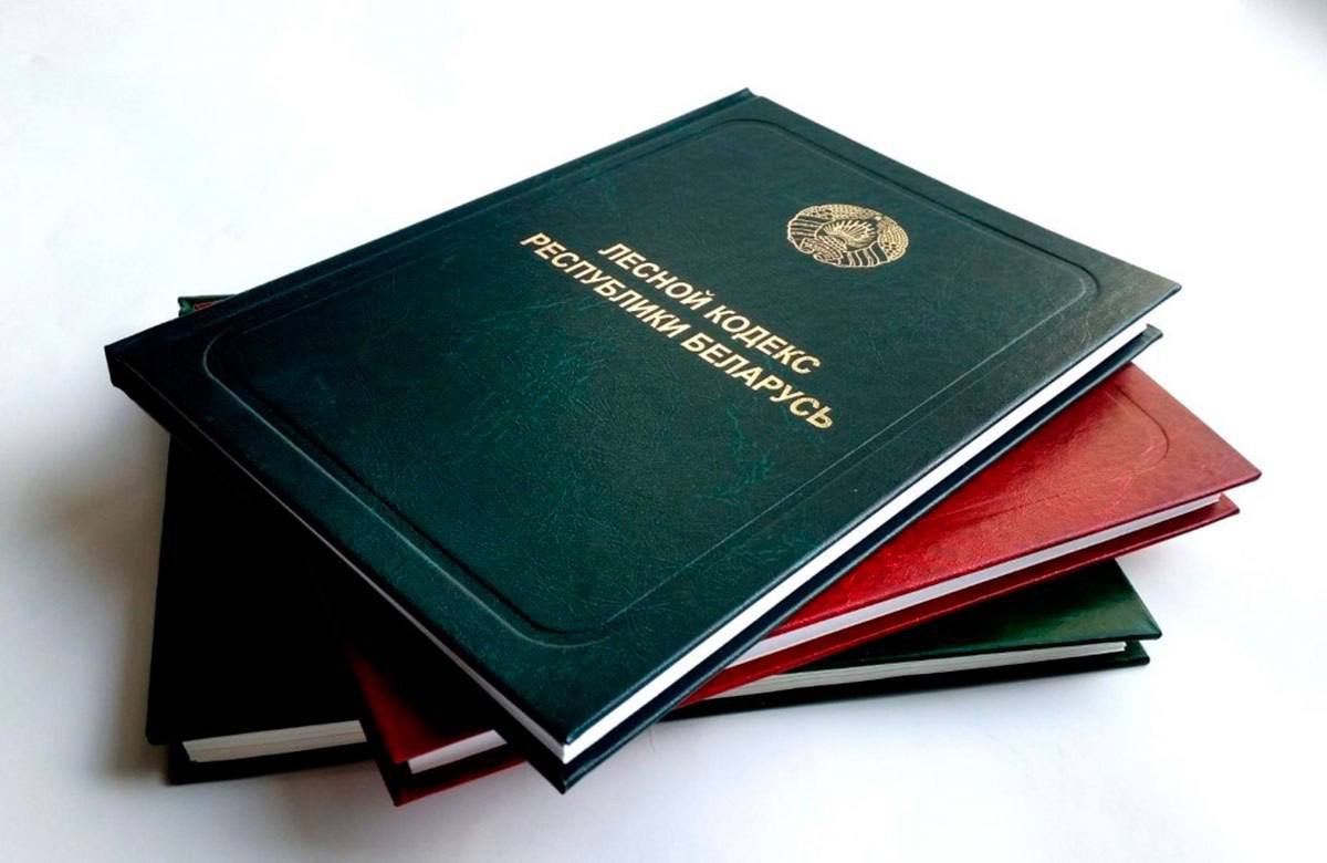 ОБНОВЛЕННЫЙ ЛЕСНОЙ КОДЕКС ВСТУПАЕТ В СИЛУ СЕГОДНЯ