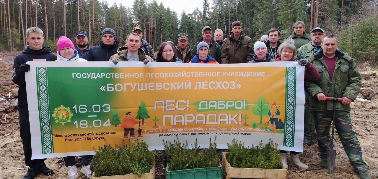 В рамках акции «Лес, добро, порядок!»