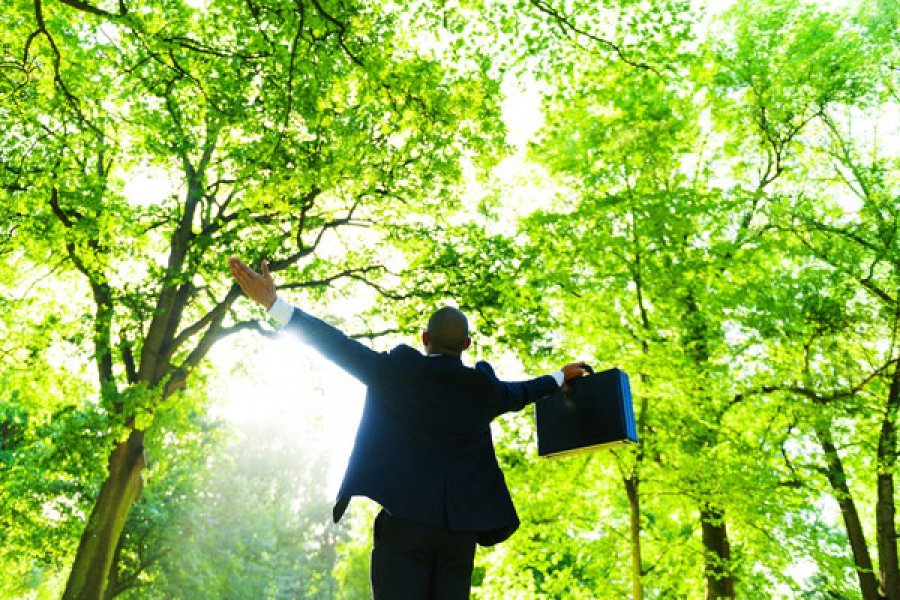 За целевыми направлениями к нам!