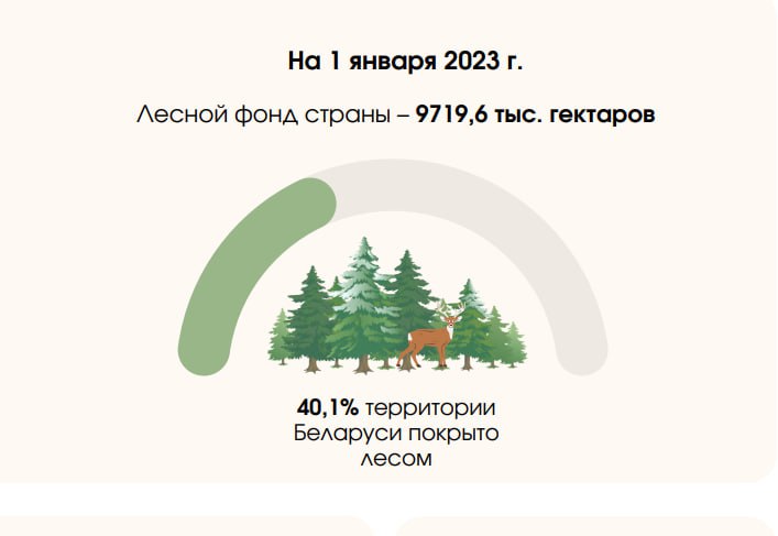 БЕЛАРУСЬ ЗАНИМАЕТ ВТОРОЕ МЕСТО ПО ЛЕСИСТОСТИ СРЕДИ СТРАН СНГ